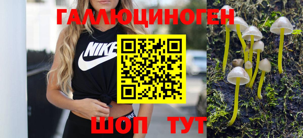 Псилоцибиновые грибы прущие грибы Калач-на-Дону
