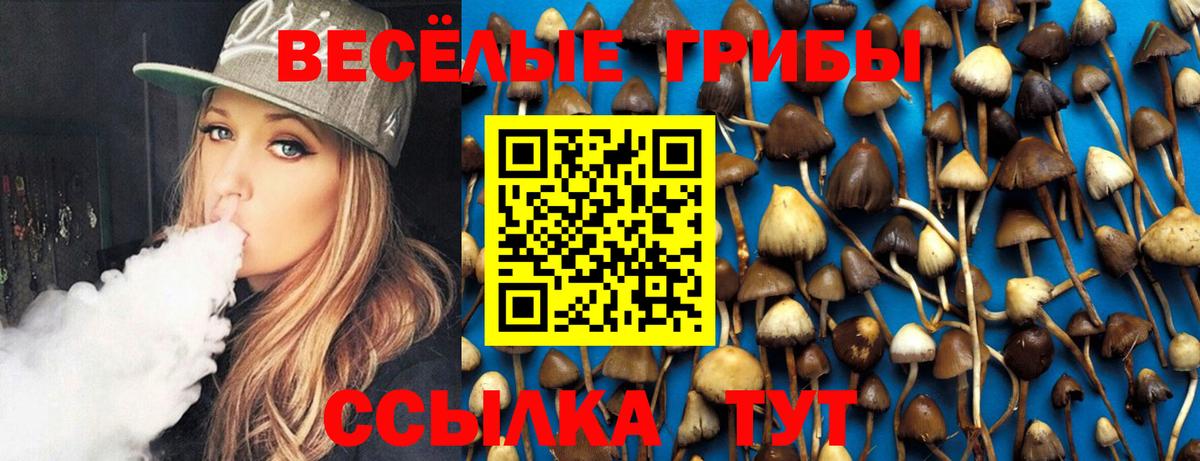 цена   Галлюциногенные грибы Psilocybine cubensis  Вход с VPN  Калач-на-Дону 